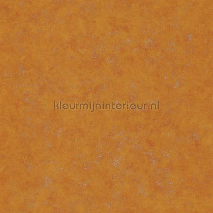Caselio Beton bet101493000 | Bestellen bij https://www.kleurmijninterieur.nl/