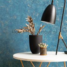 Caselio Beton bet101496020 | Bestellen bij https://www.kleurmijninterieur.nl/