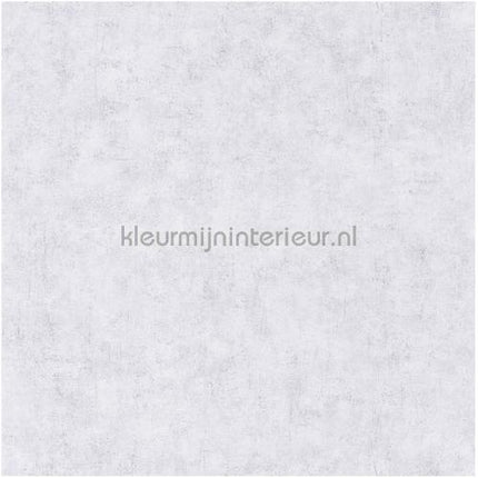 Caselio Beton bet101499020 | Bestellen bij https://www.kleurmijninterieur.nl/