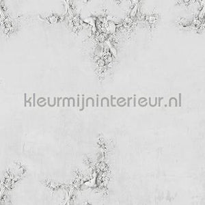Coordonne Random Papers 2 6800503 | Bestellen bij https://www.kleurmijninterieur.nl/