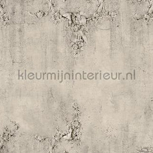 Coordonne Random Papers 2 6800505 | Bestellen bij https://www.kleurmijninterieur.nl/