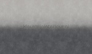 Noordwand Vanilla Lime 14268 | Bestellen bij https://www.kleurmijninterieur.nl/