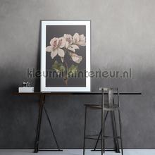 Noordwand Vanilla Lime 14268 | Bestellen bij https://www.kleurmijninterieur.nl/