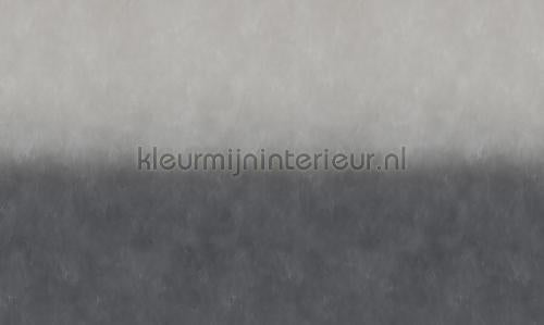Noordwand Vanilla Lime 14268 | Bestellen bij https://www.kleurmijninterieur.nl/