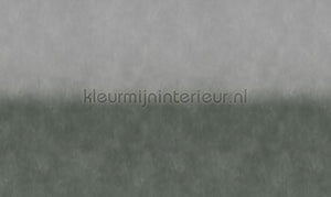 Noordwand Vanilla Lime 14270 | Bestellen bij https://www.kleurmijninterieur.nl/