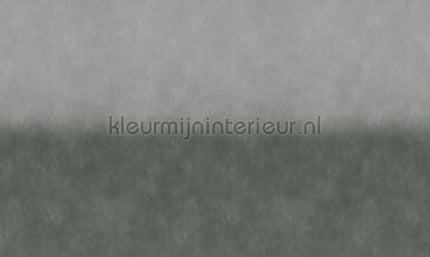 Noordwand Vanilla Lime 14270 | Bestellen bij https://www.kleurmijninterieur.nl/