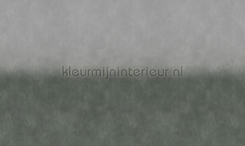 Noordwand Vanilla Lime 14270 | Bestellen bij https://www.kleurmijninterieur.nl/