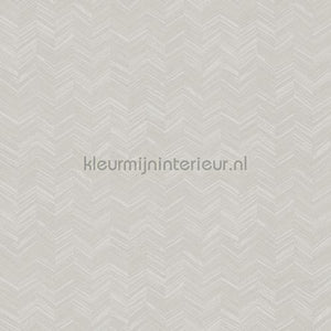 Hookedonwalls New Wave 24814 | Bestellen bij https://www.kleurmijninterieur.nl/