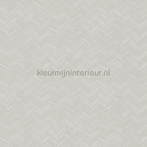Hookedonwalls New Wave 24814 | Bestellen bij https://www.kleurmijninterieur.nl/