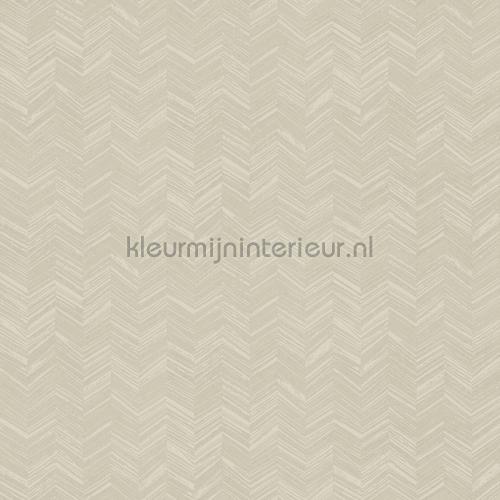 Hookedonwalls New Wave 24815 | Bestellen bij https://www.kleurmijninterieur.nl/