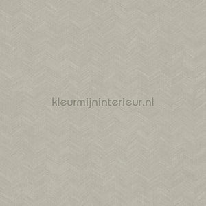 Hookedonwalls New Wave 24816 | Bestellen bij https://www.kleurmijninterieur.nl/