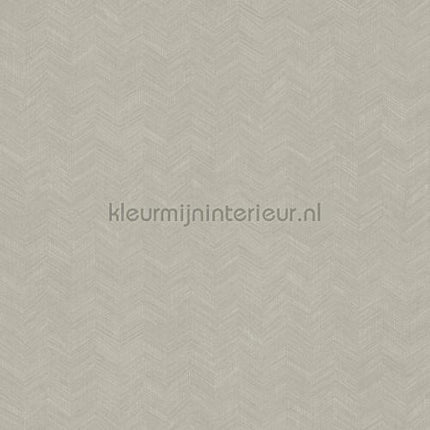 Hookedonwalls New Wave 24816 | Bestellen bij https://www.kleurmijninterieur.nl/