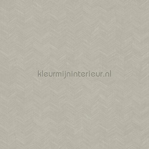 Hookedonwalls New Wave 24816 | Bestellen bij https://www.kleurmijninterieur.nl/