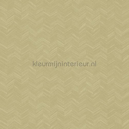Hookedonwalls New Wave 24817 | Bestellen bij https://www.kleurmijninterieur.nl/