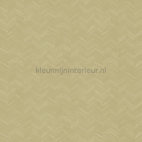 Hookedonwalls New Wave 24817 | Bestellen bij https://www.kleurmijninterieur.nl/
