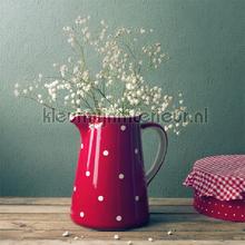 Anaglypta Anaglypta RD134 | Bestellen bij https://www.kleurmijninterieur.nl/