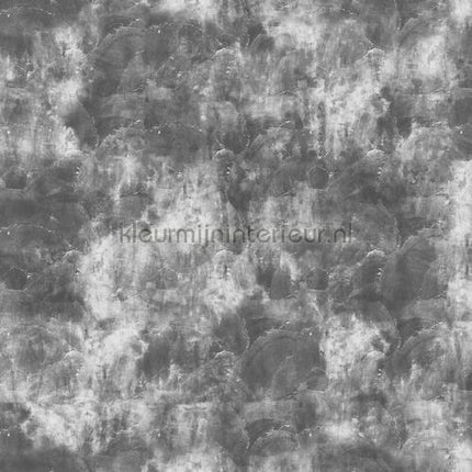 Noordwand Concrete Cire 330716 | Bestellen bij https://www.kleurmijninterieur.nl/