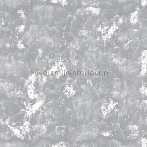 Noordwand Concrete Cire 330747 | Bestellen bij https://www.kleurmijninterieur.nl/