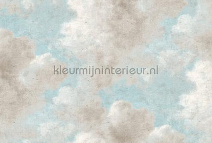 Kleurmijninterieur Ambiance DD118817 | Bestellen bij https://www.kleurmijninterieur.nl/
