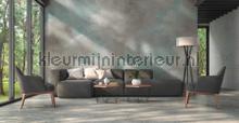 Kleurmijninterieur Ambiance DD118817 | Bestellen bij https://www.kleurmijninterieur.nl/