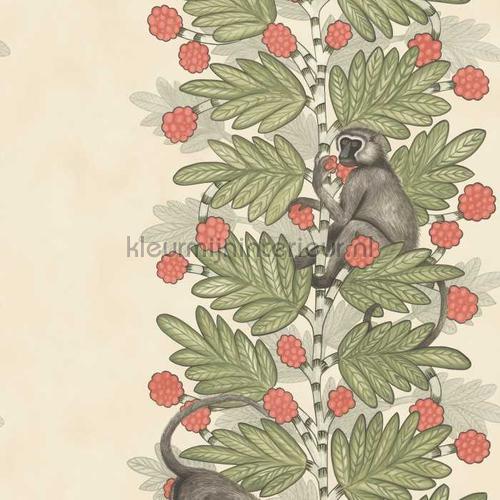 Cole and Son Ardmore 109-11051 | Bestellen bij https://www.kleurmijninterieur.nl/