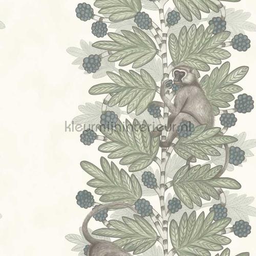 Cole and Son Ardmore 109-11052 | Bestellen bij https://www.kleurmijninterieur.nl/