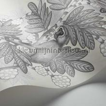 Cole and Son Ardmore 109-11053 | Bestellen bij https://www.kleurmijninterieur.nl/