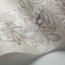 Cole and Son Ardmore 109-11054 | Bestellen bij https://www.kleurmijninterieur.nl/