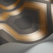 Cole and Son Contemporary Restyled 95-6033 | Bestellen bij https://www.kleurmijninterieur.nl/