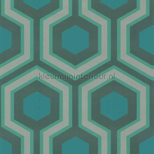 Cole and Son Contemporary Restyled 95-6034 | Bestellen bij https://www.kleurmijninterieur.nl/