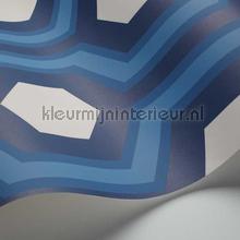 Cole and Son Contemporary Restyled 95-6035 | Bestellen bij https://www.kleurmijninterieur.nl/