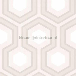Cole and Son Contemporary Restyled 95-6037 | Bestellen bij https://www.kleurmijninterieur.nl/