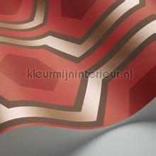Cole and Son Contemporary Restyled 95-6038 | Bestellen bij https://www.kleurmijninterieur.nl/