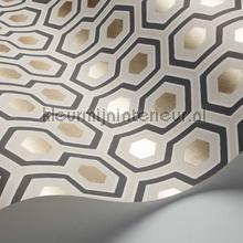 Cole and Son Contemporary Restyled 95-3016 | Bestellen bij https://www.kleurmijninterieur.nl/