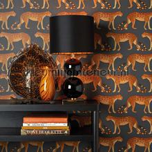 Cole and Son Ardmore 109-2008 | Bestellen bij https://www.kleurmijninterieur.nl/