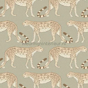 Cole and Son Ardmore 109-2009 | Bestellen bij https://www.kleurmijninterieur.nl/