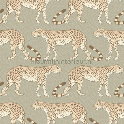 Cole and Son Ardmore 109-2009 | Bestellen bij https://www.kleurmijninterieur.nl/