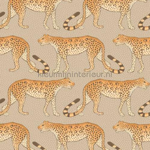 Cole and Son Ardmore 109-2010 | Bestellen bij https://www.kleurmijninterieur.nl/