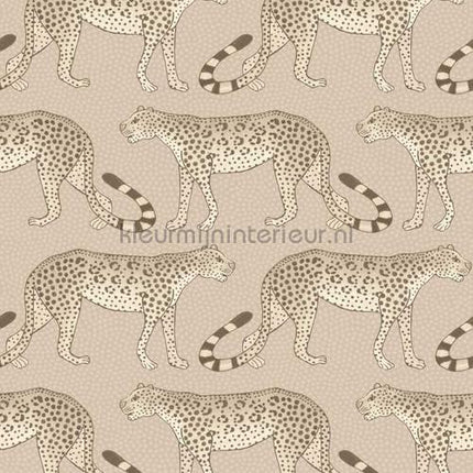 Cole and Son Ardmore 109-2012 | Bestellen bij https://www.kleurmijninterieur.nl/