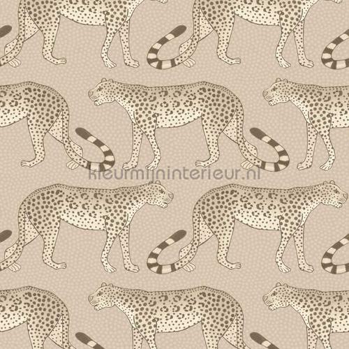 Cole and Son Ardmore 109-2012 | Bestellen bij https://www.kleurmijninterieur.nl/
