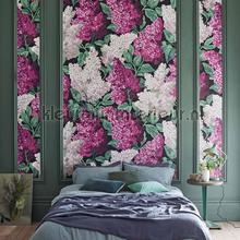 Cole and Son Botanical 115-15045 | Bestellen bij https://www.kleurmijninterieur.nl/