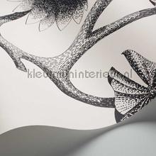 Cole and Son Contemporary Restyled 95-4020 | Bestellen bij https://www.kleurmijninterieur.nl/