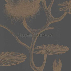 Cole and Son Contemporary Restyled 95-4021 | Bestellen bij https://www.kleurmijninterieur.nl/