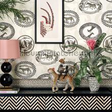 Cole and Son Ardmore 109-4019 | Bestellen bij https://www.kleurmijninterieur.nl/
