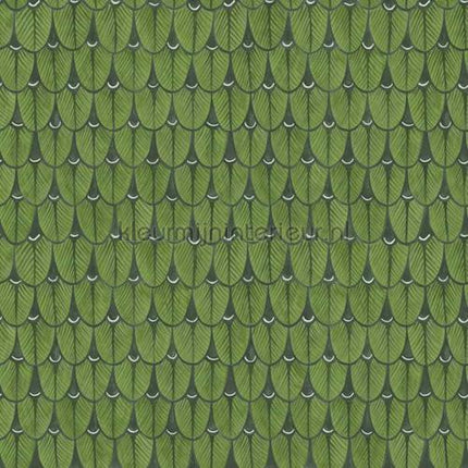 Cole and Son Ardmore 109-10045 | Bestellen bij https://www.kleurmijninterieur.nl/