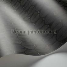 Cole and Son Ardmore 109-10046 | Bestellen bij https://www.kleurmijninterieur.nl/