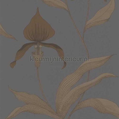 Cole and Son Contemporary Restyled 95-10056 | Bestellen bij https://www.kleurmijninterieur.nl/