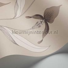 Cole and Son Contemporary Restyled 95-10058 | Bestellen bij https://www.kleurmijninterieur.nl/