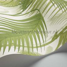 Cole and Son Contemporary Restyled 95-1001 | Bestellen bij https://www.kleurmijninterieur.nl/