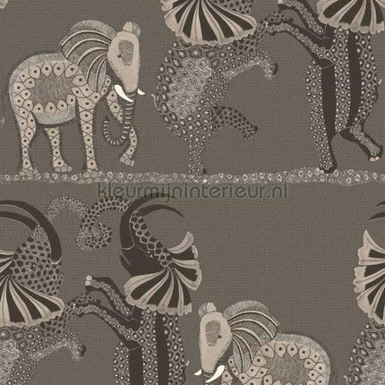 Cole and Son Ardmore 109-8039 | Bestellen bij https://www.kleurmijninterieur.nl/